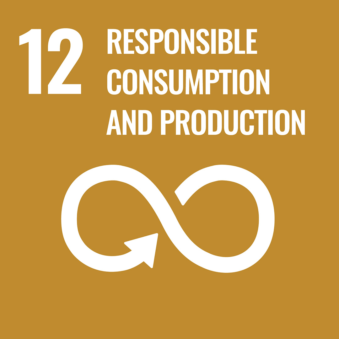 Icon of SDG 12 - Responsible consumption and production