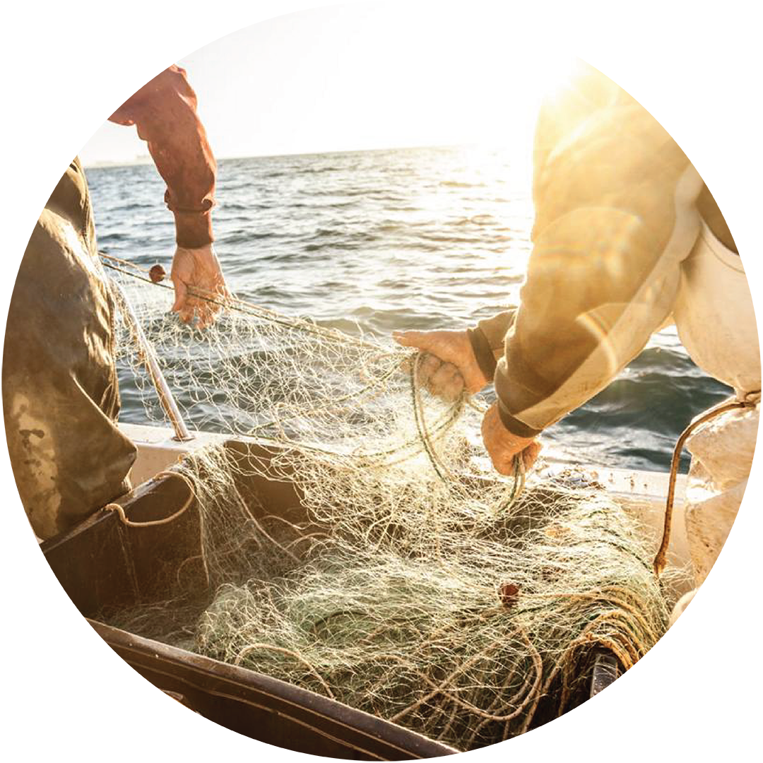 Fishermen holding a fishing net